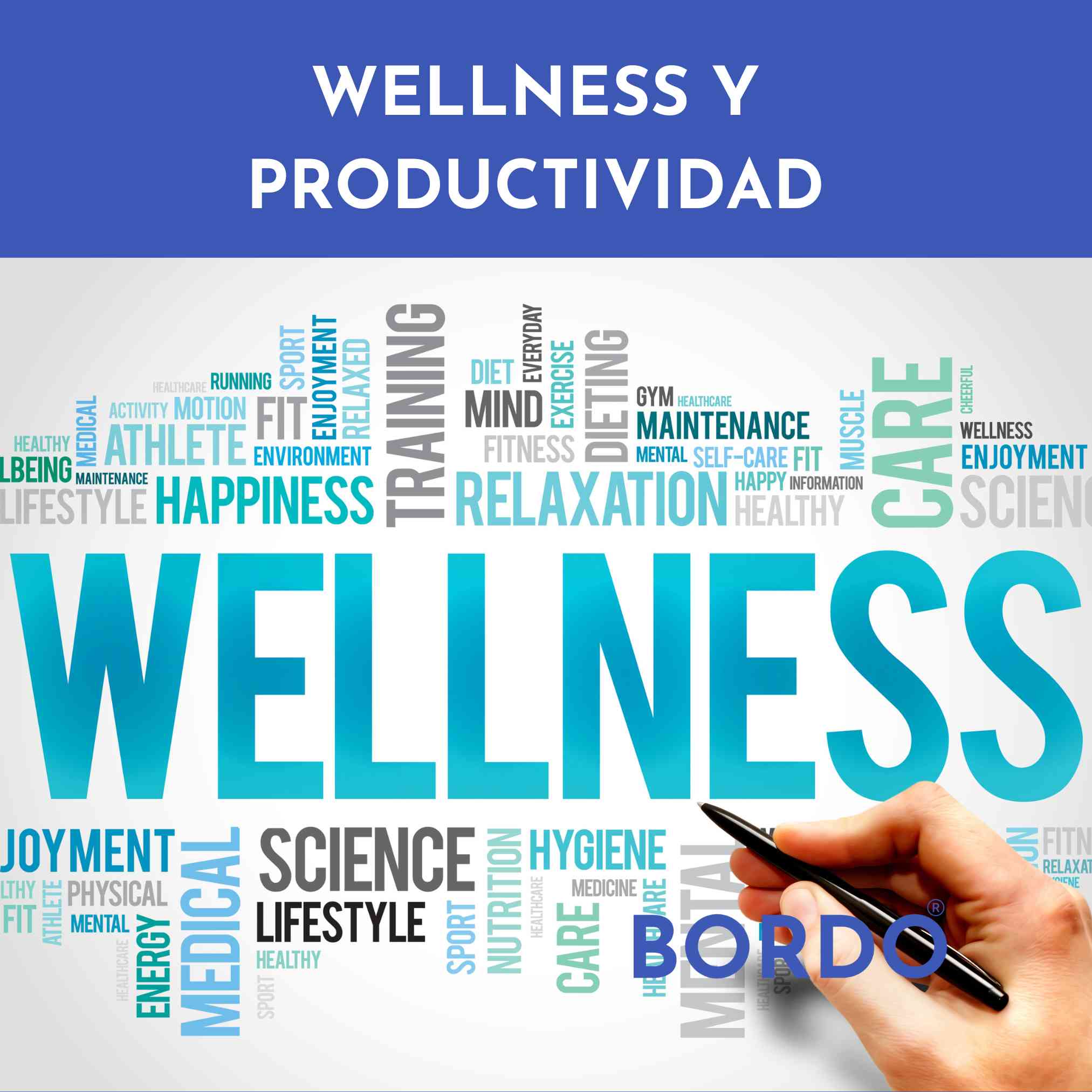La relevancia del Wellness para la Productividad de las Empresas